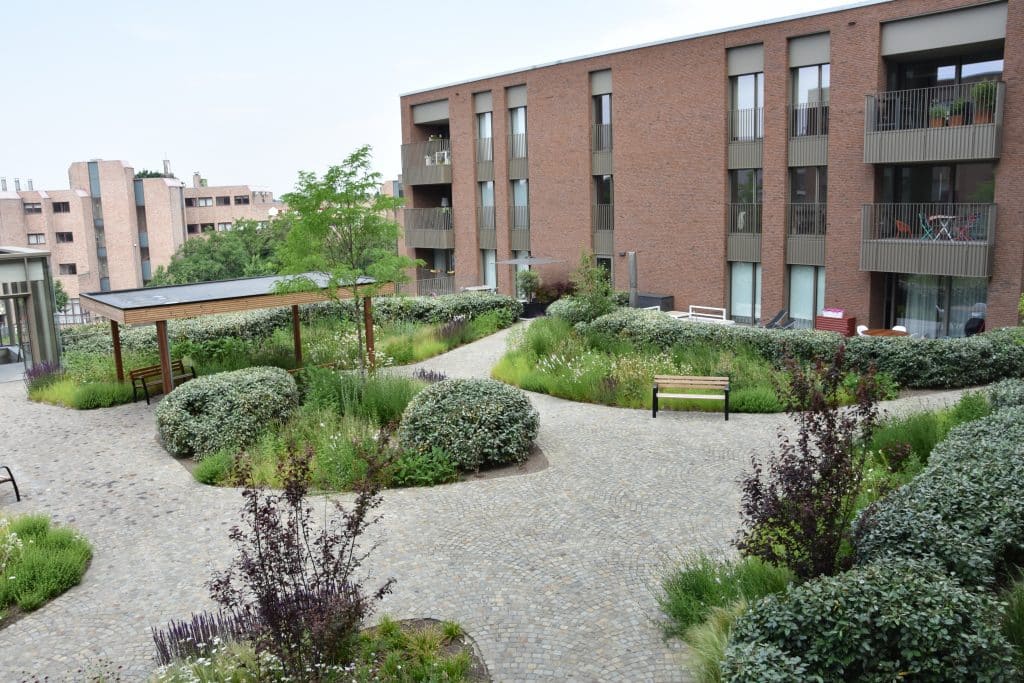 Hasselt Quartier Blue - Intensief groendak - Realisatie EMC Greenroofs Aalter