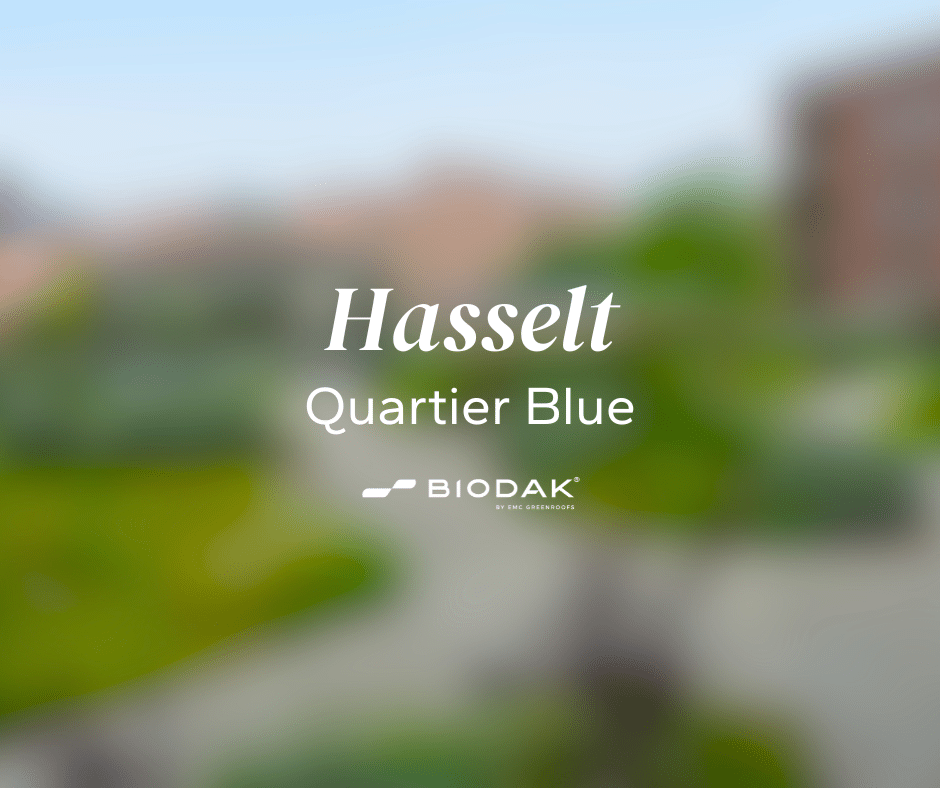 Hasselt - Qartier Blue