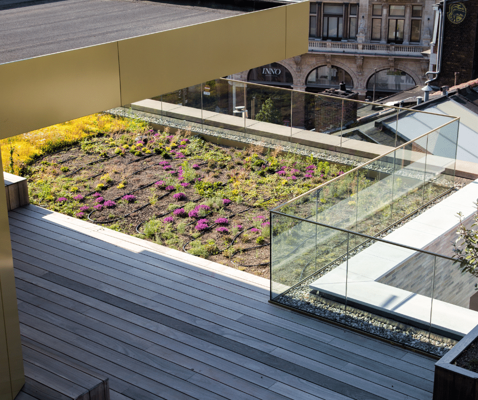 Extensief groendak - EMC Greenroofs Aalter