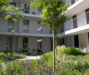 Enkele voorbeelden van realisaties EMC Greenroofs Aalter