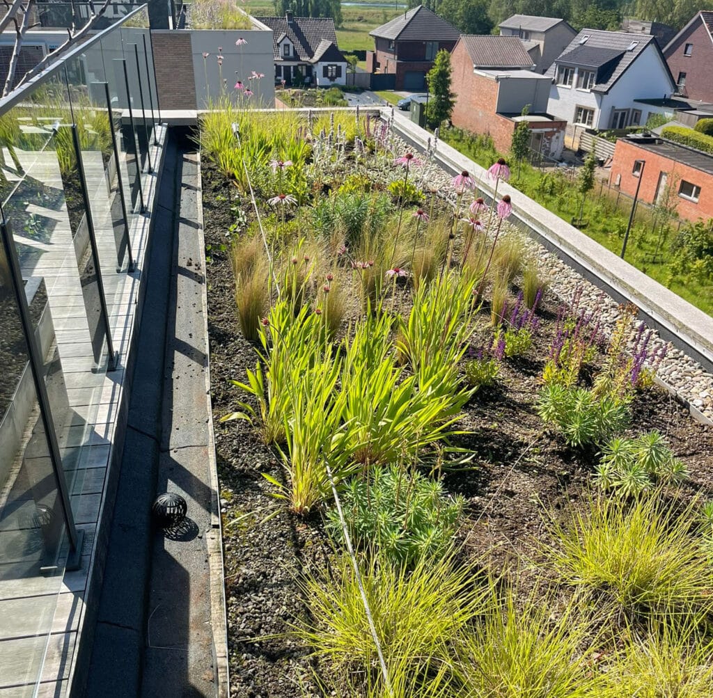 Semi-intensief groendak - EMC Greenroofs Aalter