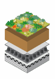 MC Greenroofs Bestektekst - Extensief dak biodivers met onvoldoende afschot