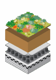 EMC Greenroofs Bestektekst - Extensief dak biodivers met voldoende afschot