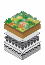 EMC Greenroofs Bestektekst - Extensief dak met onvoldoende afschot min 50l waterbuffering