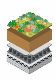 EMC Greenroofs Bestektekst - Extensief dak met voldoende afschot