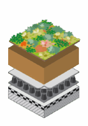 EMC Greenroofs Bestektekst - Extensief dak met voldoende afschot min 50l waterbuffering
