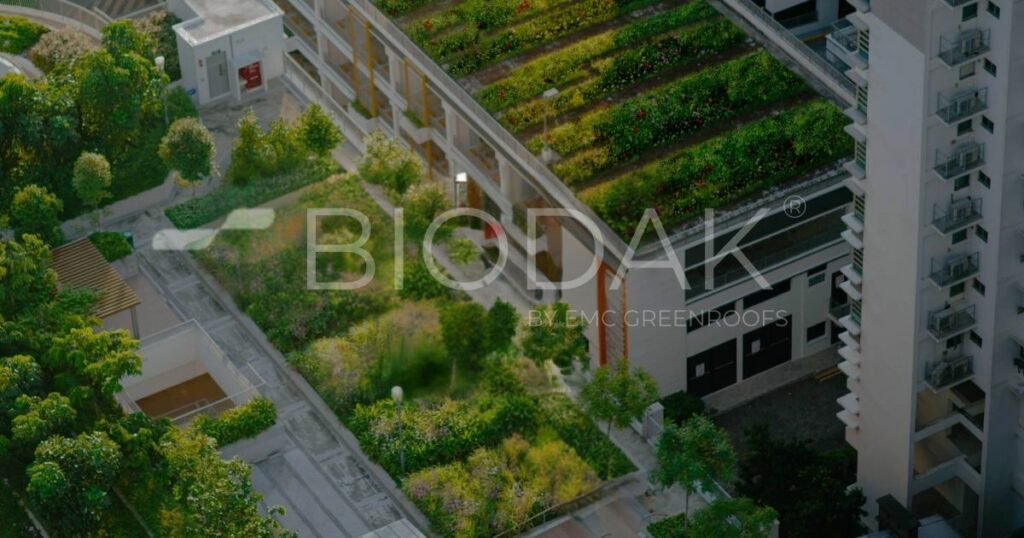 EMC Greenroofs Aalter - Biodak 3D render watermerk