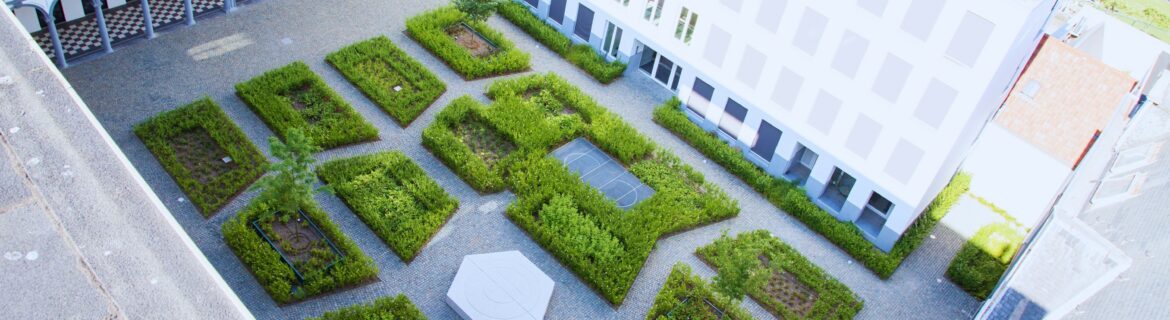 EMC Greenroofs Aalter - Blog keuze groendak - Biodak Antwerpen Dams - Bovenkant van ondergrondse parking