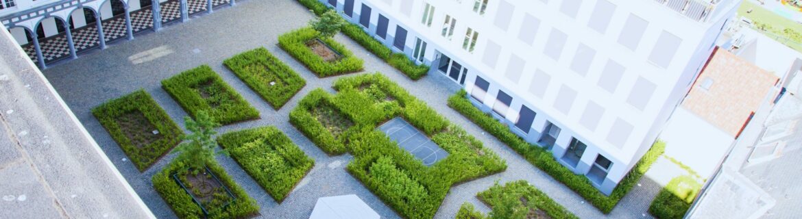 EMC Greenroofs Aalter - Blog keuze groendak - Biodak Antwerpen Dams - Bovenkant van ondergrondse parking
