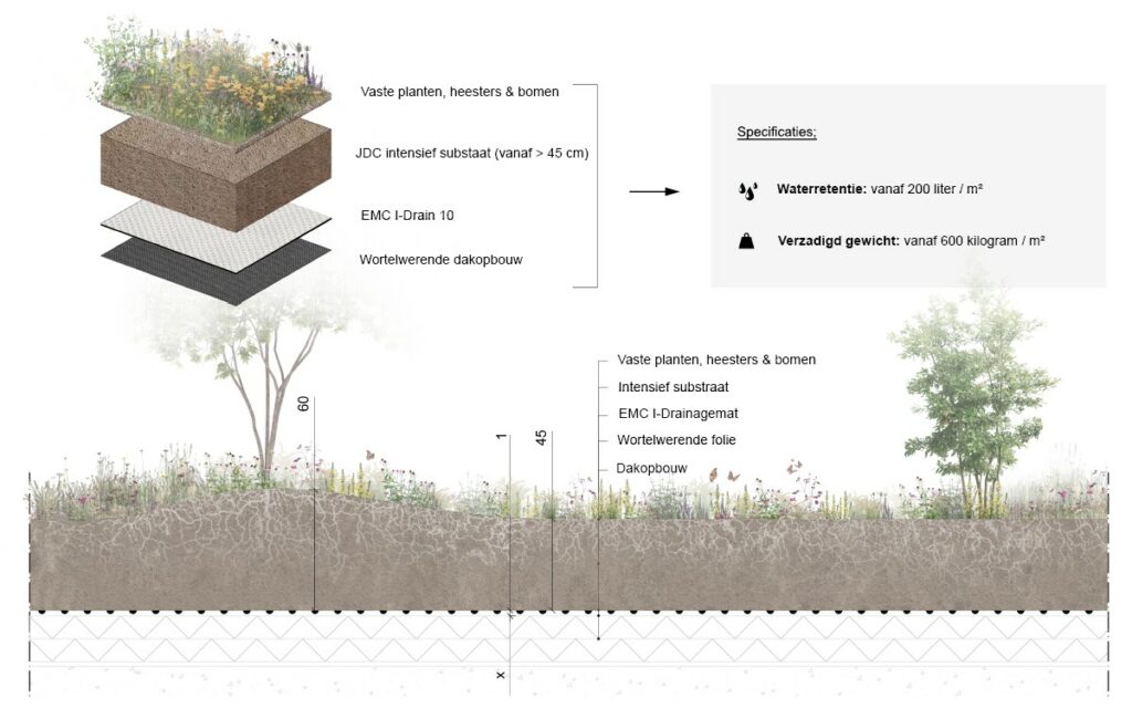 EMC Greenroofs Aalter - Blog keuze groendak - Detail intensief groendak