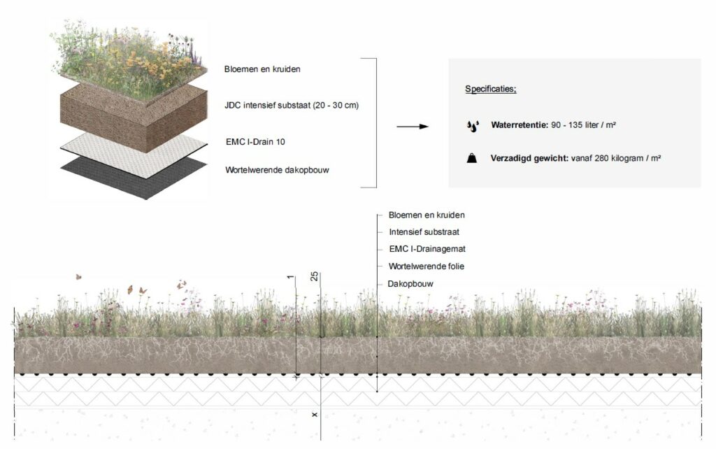 EMC Greenroofs Aalter - Blog keuze groendak - Detail semi-intensief groendak