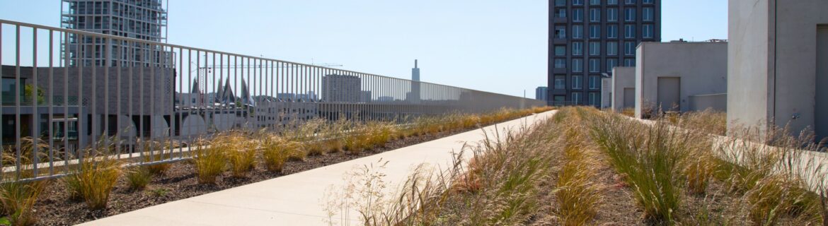 EMC Greenroofs Aalter - Blog keuze groendak - Looppiste Nieuw Zuid Antwerpen Biodak