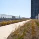 EMC Greenroofs Aalter - Blog keuze groendak - Looppiste Nieuw Zuid Antwerpen Biodak