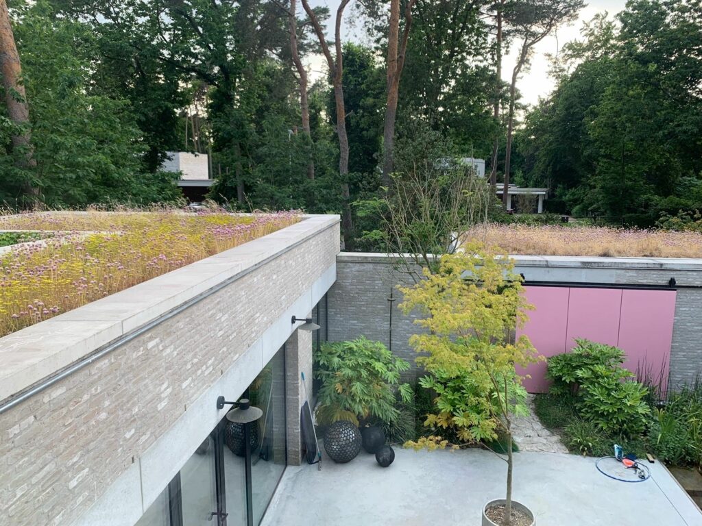 EMC Greenroofs Aalter - Blog keuze groendak - Semi-intensief groendak project Heyman te Schoten