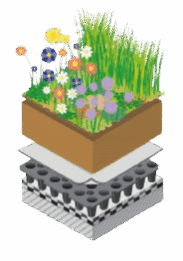 Extensief groendak biodivers onvoldoende afschot