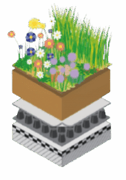 Extensief groendak biodivers voldoende afschot (2)