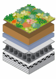 Extensief groendak voldoende afschot min. 50l waterbuffering