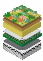 Extensief groendak waterretentiesysteem vlakke daken