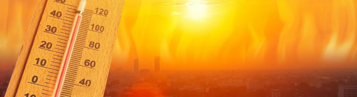 Circulair bouwen en groendaken