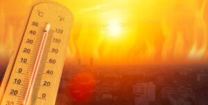 Circulair bouwen en groendaken