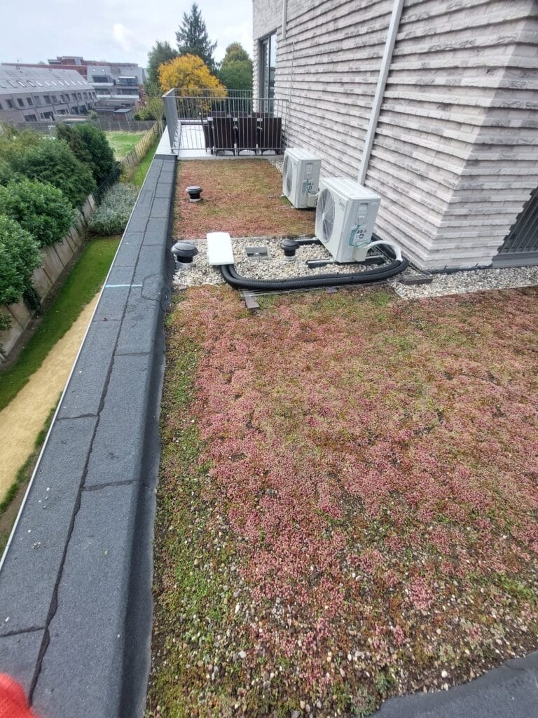EMC Greenroofs Aalter - Blog Van Groendak naar meerwaarde - waarom ontwerp, aanleg en onderhoud het verschil maken - belang van onderhoud
