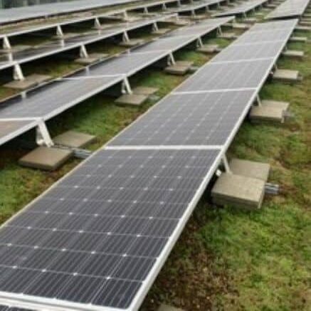 Water geven groendak met zonnepanelen - EMC Greenroofs