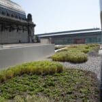 EMC Greenroofs - Antwerp Tower - semi-intensief groendak - irrigatie