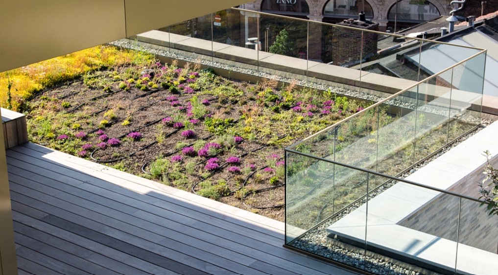 EMC Greenroofs - Antwerpen - Dams - Extensief met irrigatie