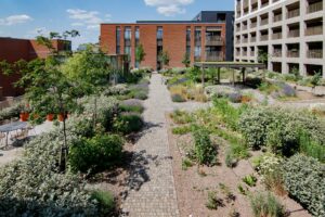 EMC Greenroofs - Hasselt - Quartier Bleu - weelderige daktuin dankzij o.a. irrigatie