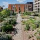 EMC Greenroofs - Hasselt - Quartier Bleu - weelderige daktuin dankzij o.a. irrigatie